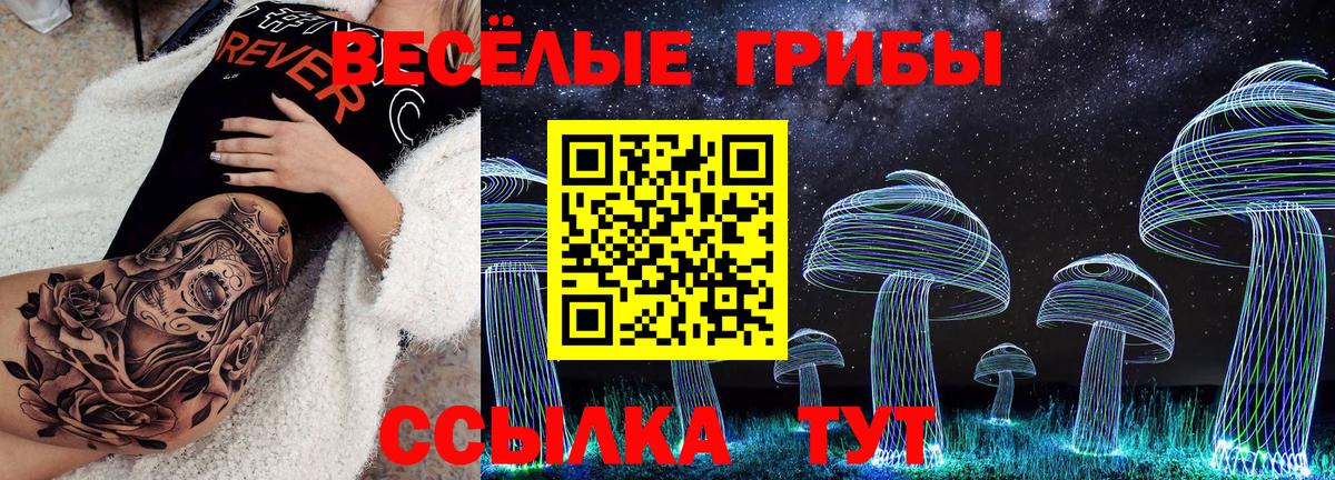 Приморско-Ахтарск  Псилоцибиновые грибы прущие грибы  Вход с VPN  где купить наркотик  Псилоцибиновые грибы GOLDEN TEACHER 
