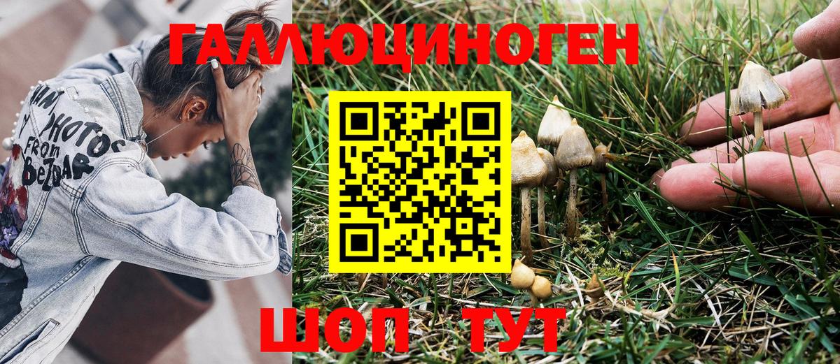 Псилоцибиновые грибы Cubensis Приморско-Ахтарск